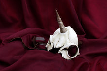Handmade Resin Skull Mask - Unicorn
