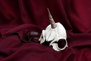 Handmade Resin Skull Mask - Unicorn