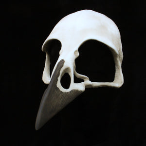 Handmade Resin Skull Mask -Raven Skull Mask