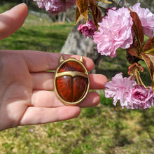 Arcana inspired, Red Beetle courtier brooch pin