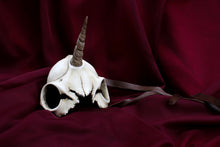 Handmade Resin Skull Mask - Unicorn