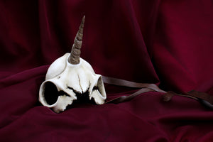 Handmade Resin Skull Mask - Unicorn