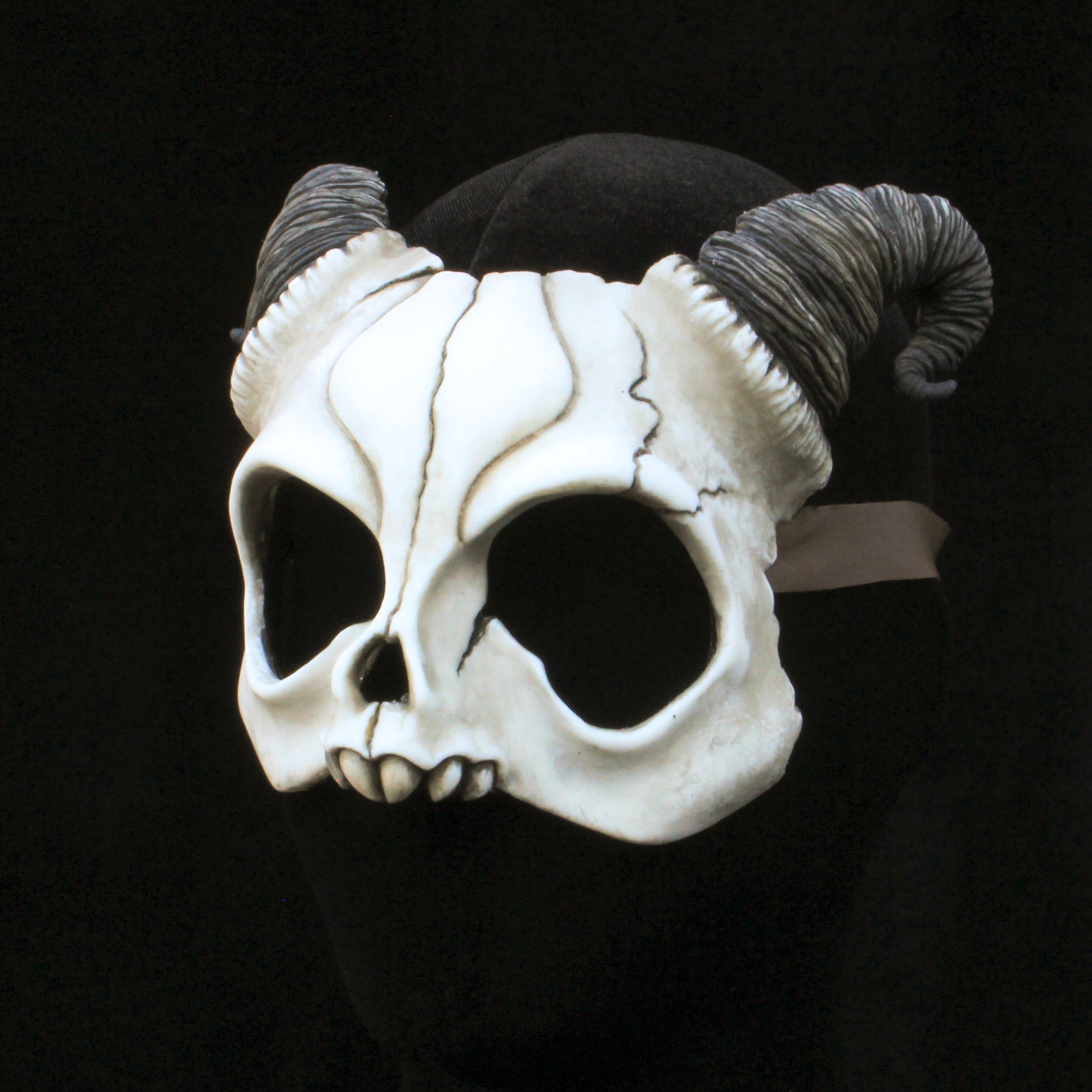 glemme hjerte Energize Handmade Resin Skull Mask - Curly Horned Demon Skull Mask – AishaVoya  Creations