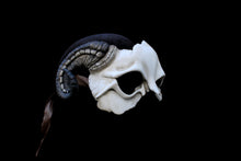 Handmade Resin Skull Mask - Ram Horned Demon