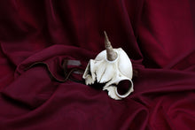 Handmade Resin Skull Mask - Unicorn