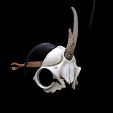 Handmade Resin Skull Mask - Unicorn