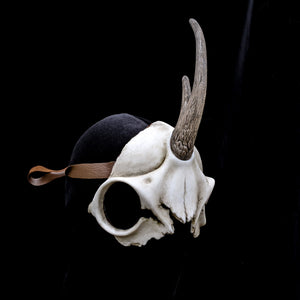 Handmade Resin Skull Mask - Unicorn