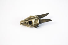 Handmade Resin Dragon Skull lapel pin