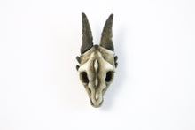 Handmade Resin Dragon Skull lapel pin