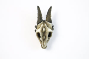 Handmade Resin Dragon Skull lapel pin