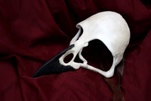 Handmade Resin Skull Mask -Raven Skull Mask