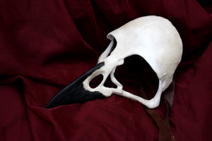 Handmade Resin Skull Mask -Raven Skull Mask