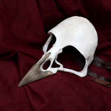 Handmade Resin Skull Mask -Raven Skull Mask