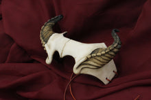 Handmade Resin Demon Horned Skull Headdress