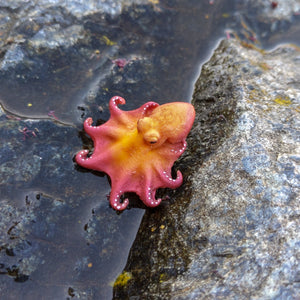 Handmade Resin Octopus Lapel Pin